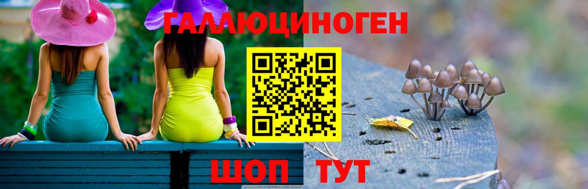 Всеволожск  Галлюциногенные грибы Magic Shrooms  Вход с VPN 